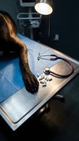 Dog paw on veterinary examination table with stethoscope and pills under surgical lamp in modern animal clinic for pet healthcare checkup.