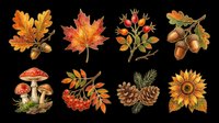 Autumn fall season collection with isolated leaves, mushroom, berries, pinecone and sunflower on transparent background. Ready for t-shirt design, clipart, stickers, sublimation and print-on-demand projects.