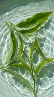 Fresh green mint leaves floating in clear water with ripples and bubbles for natural skincare and aromatherapy applications.