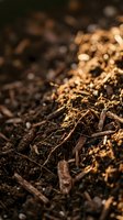 Rich organic compost soil with decomposed matter and natural fertilizer for sustainable gardening and agriculture with warm sunlight filtering through.