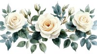 Elegant cream roses with sage green foliage arranged in horizontal composition on white background, watercolor style botanical illustration for wedding stationery.