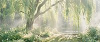 Dreamy garden path under weeping willow tree with soft morning sunlight filtering through branches creating magical atmosphere for peaceful meditation.