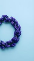 Purple lavender wreath on soft blue background with copy space for spring decoration, aromatherapy and wellness design projects.