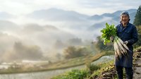 Middle-aged male farmer of Asian ethnicity holding freshly harvested vegetables in misty mountain valley at dawn, wearing work clothes and cap, agricultural lifestyle and organic farming concept.