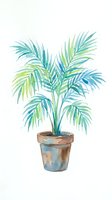 Watercolor potted palm plant with green and turquoise fronds in terracotta pot, isolated on white background for interior design, botanical art, and home decor projects.