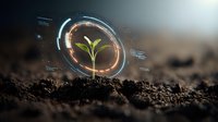 Young green seedling growing in soil with futuristic holographic interface surrounding it, symbolizing agricultural technology and sustainable farming innovation.
