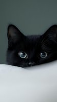 Curious black cat with bright blue eyes peering over white surface, close-up portrait showing only eyes and forehead against dark background.