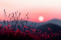 Dreamy pink sunset over mountain silhouettes with wild grass and flowers in foreground creating magical atmospheric nature scene for wall art and greeting cards.