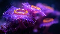 Glowing passion flower macro with vibrant purple petals and orange corona filaments against dark background, creating magical natural light effect in garden photography.