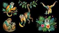Playful monkeys in various poses with tropical foliage, leaves, and flowers isolated on transparent background. Ready for t-shirt designs, clipart, stickers, sublimation, print-on-demand products, and digital crafts.