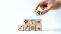 Hand placing wooden cube with paw print icon completing veterinary care symbol pyramid on white background for pet health and animal medical services.