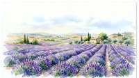 Watercolor lavender field landscape with farmhouse, rolling hills, and cypress trees in soft purple and green tones on white background.