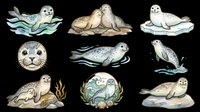 Seal and sea lion collection isolated on transparent background, ready for clipart, t-shirt design, stickers, print-on-demand products and sublimation projects.