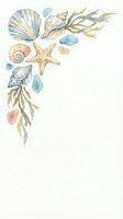 Watercolor coastal corner arrangement featuring shells, starfish, seaweed and sea glass isolated on white background. Perfect for invitations, greeting cards and design projects.