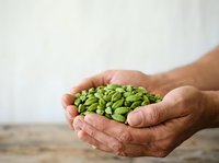 Farmer holding fresh green peas in cupped hands, displaying harvested legumes for agricultural, farming, and food production concepts.