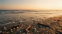 Golden sunset ocean waves washing over sandy beach with scattered shells and pebbles creating peaceful coastal scenery for relaxation and travel themes.