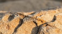 Weathered sandstone rock formation with natural erosion patterns and warm golden textures in sunlight creating dramatic shadows and geological surface details.