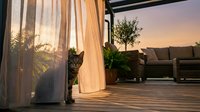 Curious tabby cat peeking through sheer curtains on a wooden terrace at golden sunset with outdoor furniture in background.