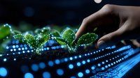 Young green sprouts with digital light effects and hand reaching, representing growth of sustainable technology and environmental innovation in modern agriculture.