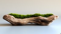 Natural driftwood planter with fresh green moss creating organic home decor piece for modern interior design and botanical arrangements.