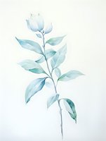 Delicate watercolor botanical illustration of light blue flower with mint green leaves on white background, soft pastel tones create gentle minimalist composition.