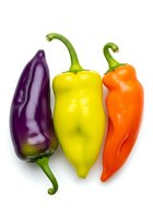 Three fresh bell peppers in purple, yellow, and orange varieties isolated on white background, ready for culinary and food design projects.