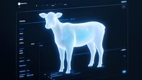 Glowing blue hologram of lamb on digital display screen with futuristic interface elements, representing modern livestock monitoring and agricultural technology.