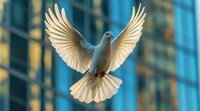White dove with spread wings flying against modern glass building background, symbolizing peace, freedom and spirituality in urban environment.