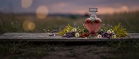Glass bottle with red liquid surrounded by wildflowers on wooden surface at sunset with bokeh lights creating romantic outdoor atmosphere.