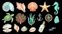 Watercolor ocean and sea life collection featuring nautilus shell, conch, scallop, starfish, seahorse, sea turtle, coral, seaweed, anchor, compass, pearl, shells, message bottle, and fish. Isolated on transparent background, ready for clipart, t-shirt design, stickers, and print-on-demand projects.