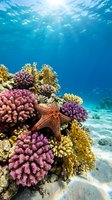 Vibrant coral reef ecosystem with colorful hard corals and starfish underwater in crystal clear tropical ocean with sunbeams filtering through water surface.