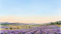 Lavender fields in bloom stretch across rolling hills under a soft morning sky, showcasing agricultural landscape and natural beauty for travel and nature projects.