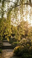 Sunlit weeping willow branches cascade over stone garden path with blooming flowers in warm golden hour light creating peaceful outdoor sanctuary atmosphere.