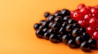 Fresh black and red currants berries on vibrant orange background. Healthy organic summer fruit harvest for cooking, baking and natural nutrition concepts.