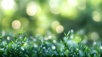 Fresh green grass with morning dew drops against blurred natural bokeh background creates dreamy spring atmosphere for nature and environmental concepts.