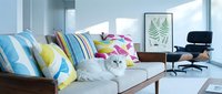 Modern living room with gray upholstered sofa, colorful striped and patterned pillows, wooden frame, potted plant, framed botanical art, desk chair, and bright natural lighting for interior design projects.
