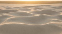 Smooth golden sand dunes with flowing curves and ripples creating natural wave patterns in warm desert landscape during sunset light.
