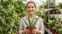 Young Caucasian woman gardener holding potted aloe vera plant in greenhouse nursery, smiling at camera surrounded by green plants and gardening supplies.
