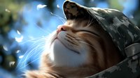 Ginger cat in military camouflage cap enjoying sunlight with floating feathers against blue sky background, eyes closed in peaceful expression.