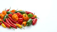 Assorted fresh chili peppers in red, orange, yellow and green varieties arranged on white background for culinary and food design projects.