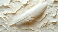 White delicate feather lying on textured cream surface with rough plaster-like finish creates soft minimalist composition for elegant design projects.