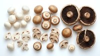 White and brown mushrooms arranged by type showing whole and sliced varieties on white background, suitable for food, cooking, nutrition and culinary design projects.