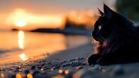 Black cat silhouette resting on beach at golden sunset with ocean waves and warm light reflection creating peaceful coastal scene for relaxation themes.