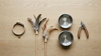 Cat care accessories flat lay on wooden surface, including collar, feather wands, stainless steel bowls, and nail clippers for pet grooming.