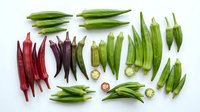 Assorted fresh okra and chili peppers arranged on white background, showcasing green and red varieties in organized flat lay composition for culinary and ingredient design use.