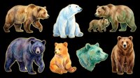 Grizzly bear, polar bear, brown bear, black bear, and bear cub illustrations isolated on transparent background, ready for t-shirt design, clipart, stickers, print-on-demand products, and sublimation projects.