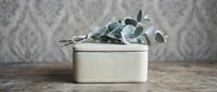 Minimalist ceramic container with fresh eucalyptus branches on rustic wooden surface against textured wall background for home decor and botanical styling.