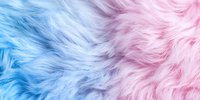 Soft fluffy fur texture in pastel blue and pink colors creating gentle gradient background, suitable for baby products, fashion, or cosmetic designs.