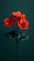 Vibrant red poppies with dark green leaves against deep emerald background showcase dramatic contrast and moody botanical elegance. Artistic floral photography.