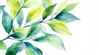 Delicate watercolor branch with green and teal leaves on white background, creating fresh botanical art for nature-inspired designs.